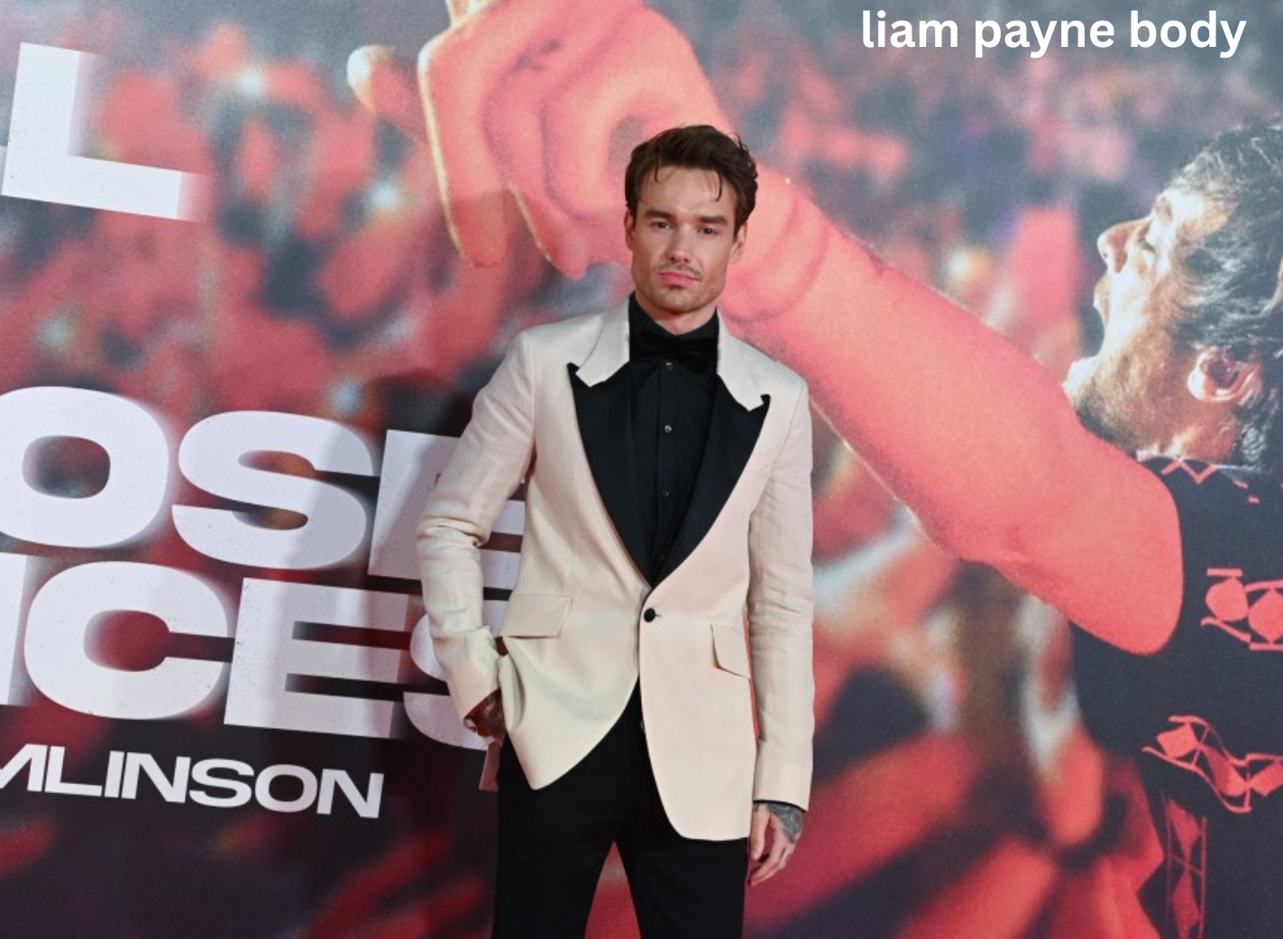 liam payne body