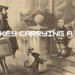 monkey carrying a box
