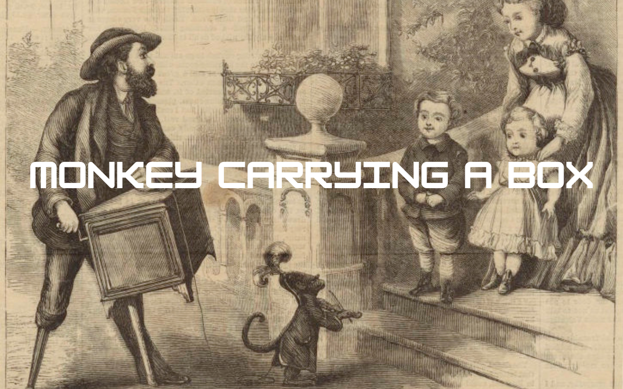 monkey carrying a box